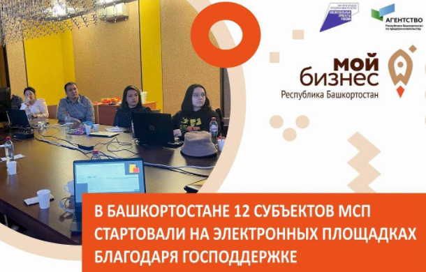 В Башкортостане 12 субъектов МСП стартовали на электронных площадках благодаря господдержке