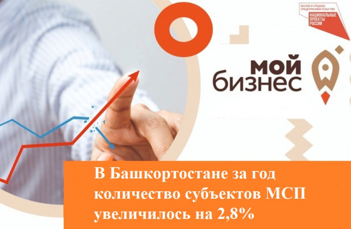 В Республике Башкортостан за год количество зарегистрированных субъектов малого и среднего предпринимательства выросло на 3,6 тыс. и составило 130,5 тыс., что на 2,8% выше по сравнению с июнем прошлого года