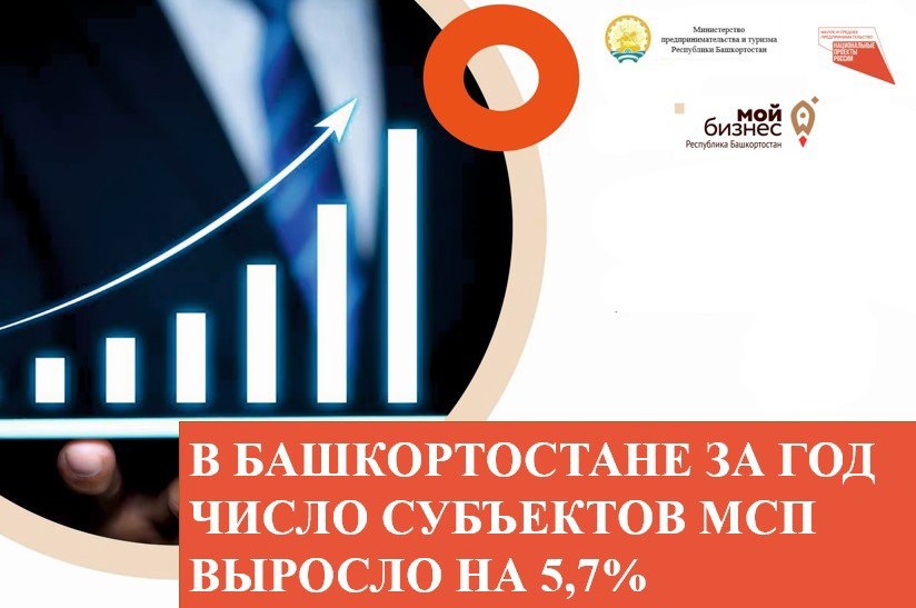 В Башкортостане за год число субъектов МСП выросло на 5,7%