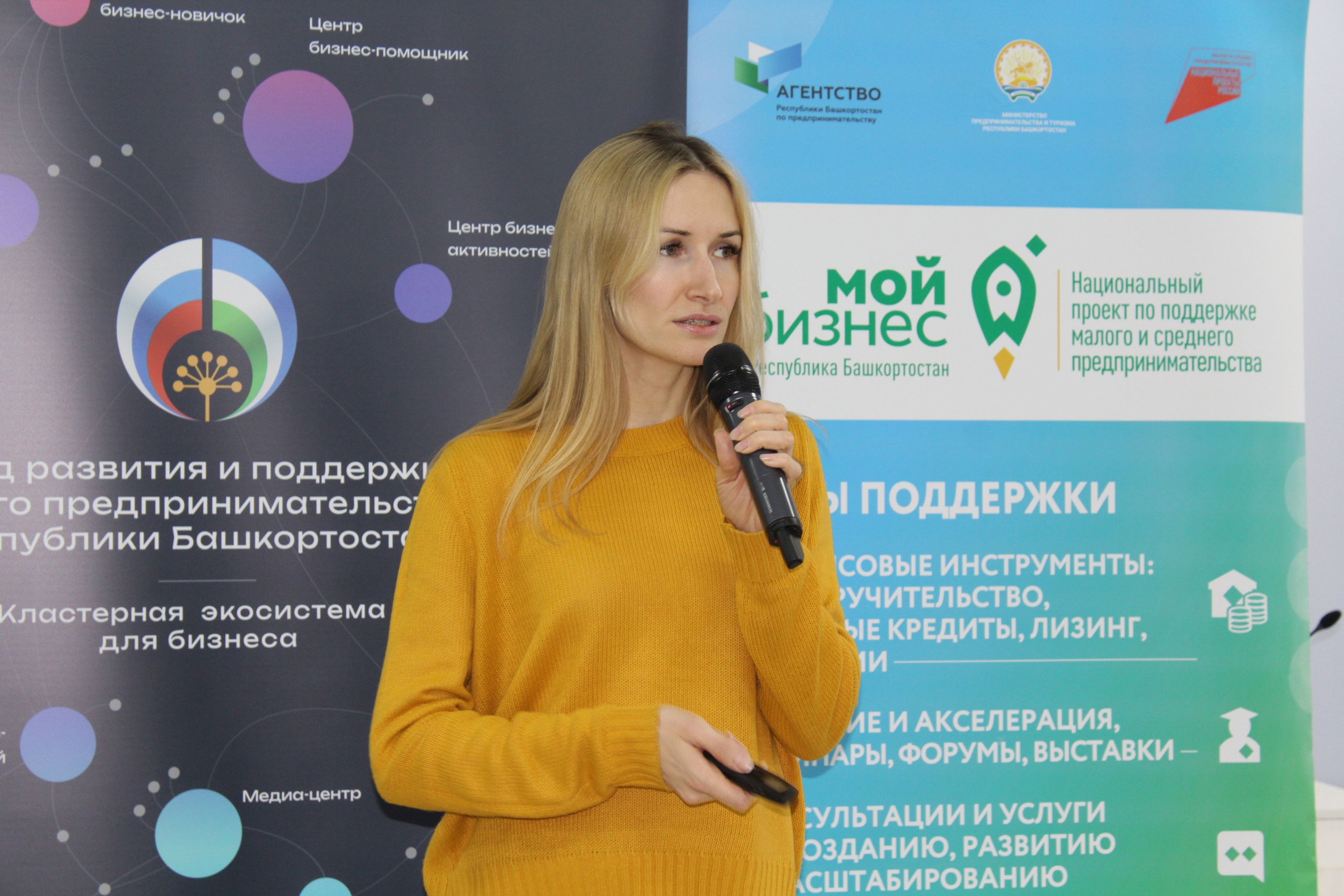 На 30% возросло количество оказанных Центром инноваций социальной сферы услуг предпринимателям Башкортостана-slide-thumbnail