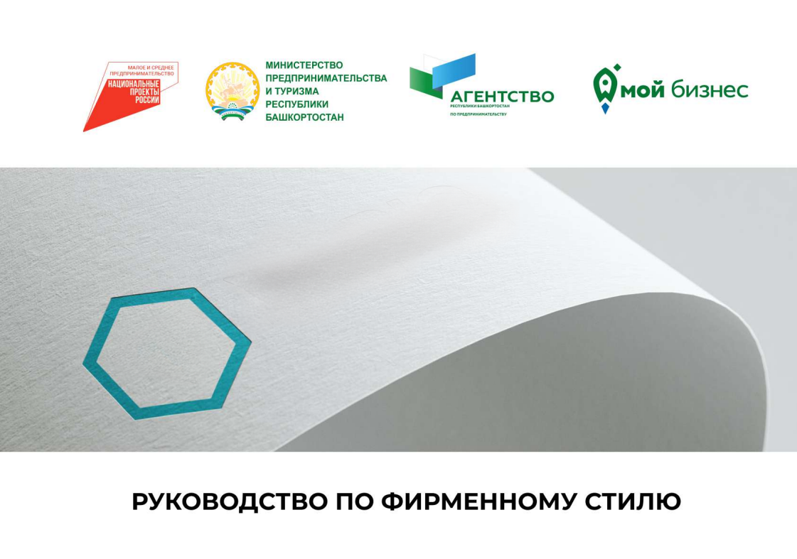 100 субъектам малого и среднего бизнеса Башкортостана за счет государства была оказана комплексная услуга «Разработка фирменного стиля»-slide
