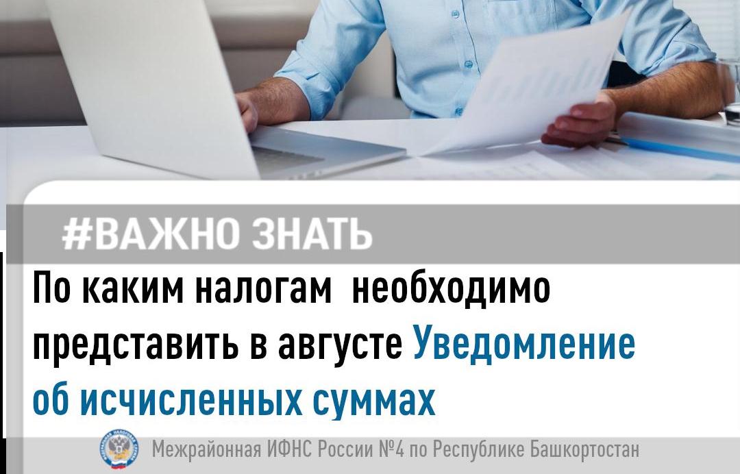 Узнайте, по каким налогам в августе необходимо представить 