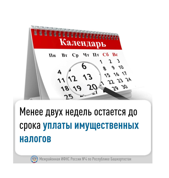 Менее двух недель остается до срока уплаты имущественных налогов