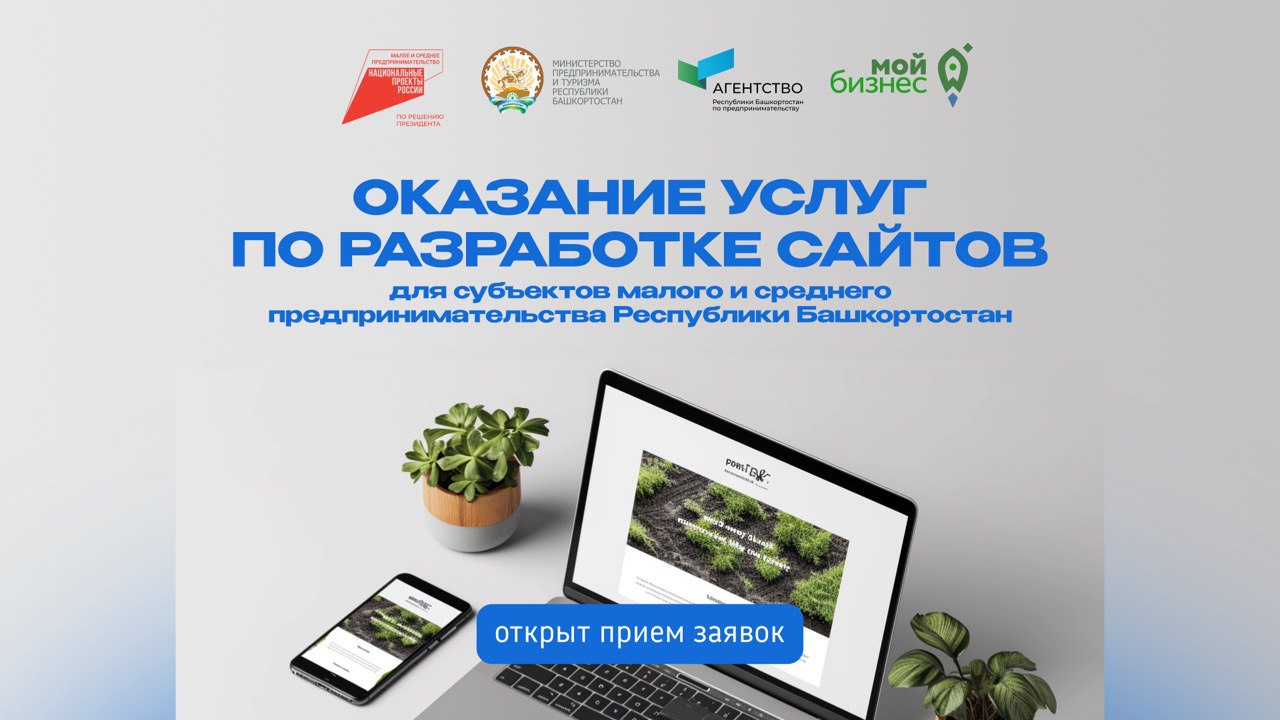 Для предпринимателей Башкортостана открыт прием заявок на оказание услуги по разработке сайта