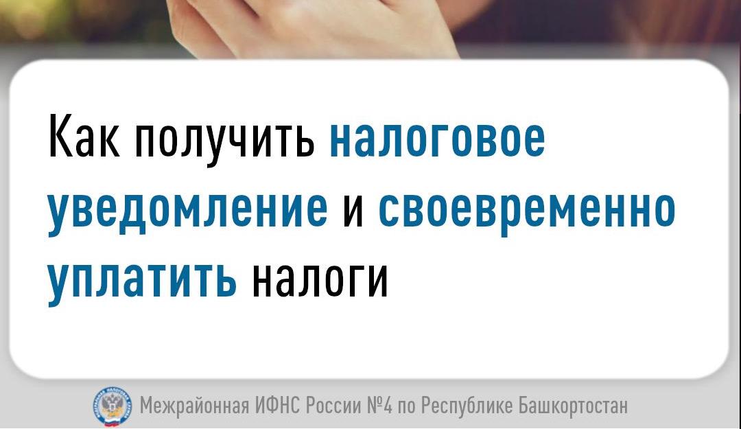 Как получить налоговое уведомление и своевременно уплатить налоги?